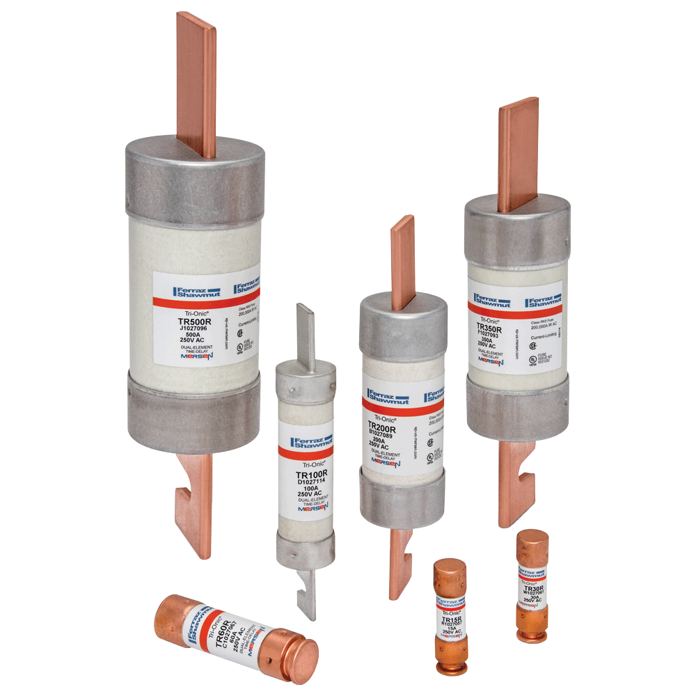 DUAL ELEMNT FUSE250V60A