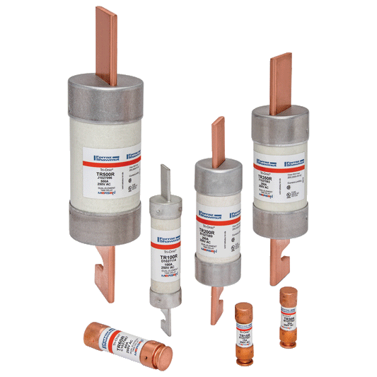 DUAL ELEMNT FUSE 250V10A